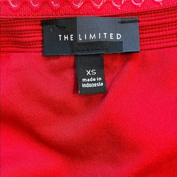 The Limited Strapless Red Fit-and-Flare Dress - Picture 4 of 4